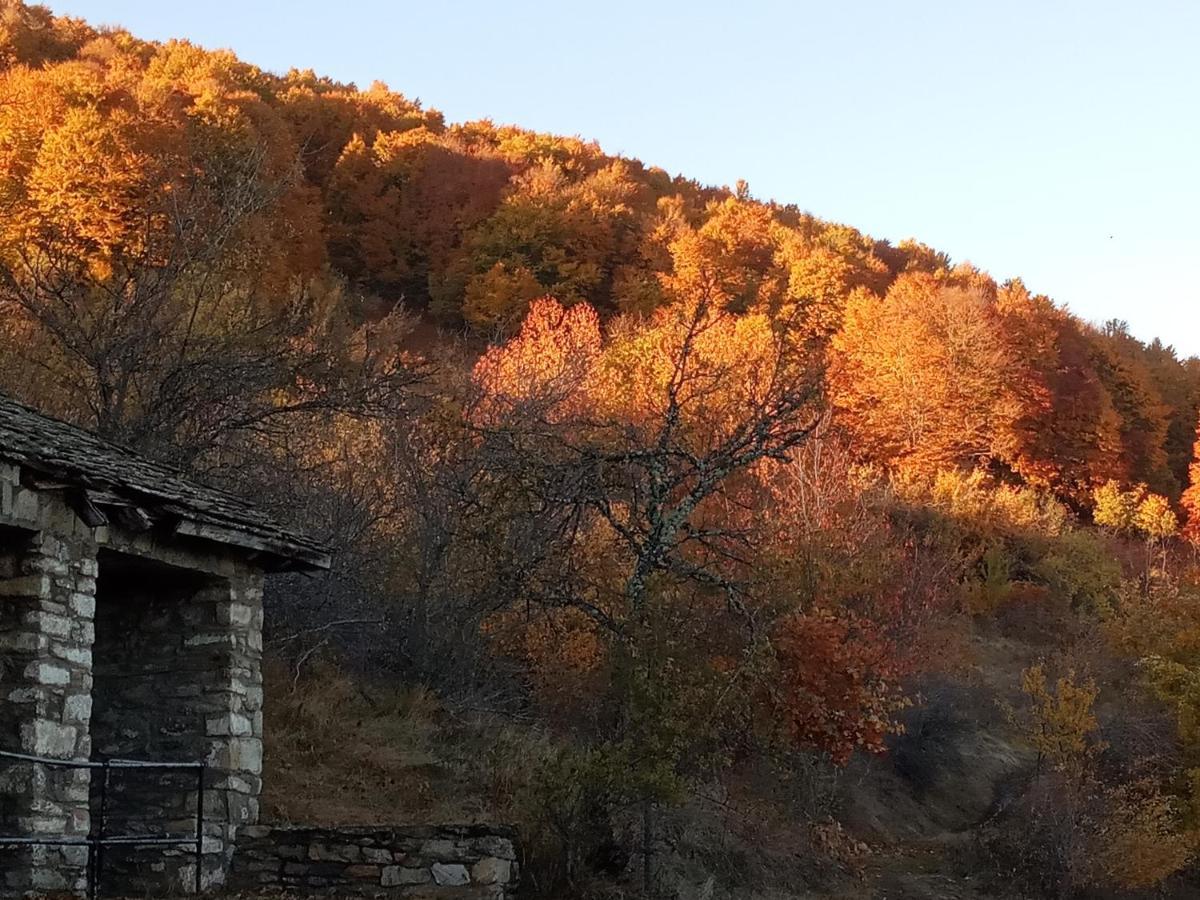Guesthouse Kontogianni - Materka Нимфайон Экстерьер фото